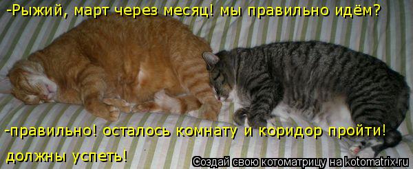 -Рыжий, март через месяц! мы правильно идём? должны успеть! -правильно! осталось комнату и коридор пр... Котоматрица: -Рыжий, март через месяц! мы правильно идём? должны успеть! -правильно! осталось комнату и коридор пройти!