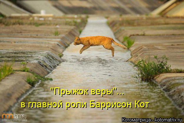 "Прыжок веры"... в главной роли Баррисон Кот... Котоматрица: "Прыжок веры"... в главной роли Баррисон Кот
