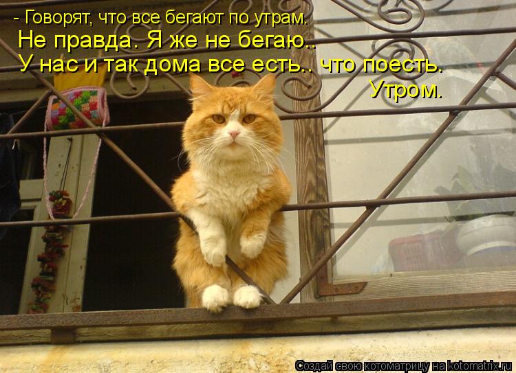 Котоматрица: - Говорят, что все бегают по утрам. Не правда. Я же не бегаю..   У нас и так дома все есть.. что поесть. Утром.