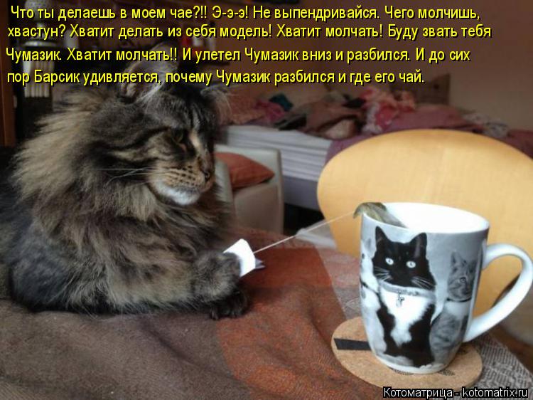 Что ты делаешь в моем чае?!! Э-э-э! Не выпендривайся. Чего молчишь, хвастун? Хватит делать из себя мо... Котоматрица: Что ты делаешь в моем чае?!! Э-э-э! Не выпендривайся. Чего молчишь, хвастун? Хватит делать из себя модель! Хватит молчать! Буду звать тебя Чумаз