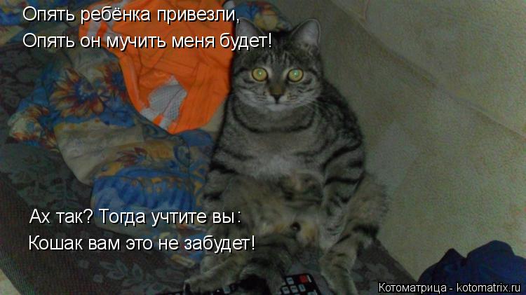 Опять ребёнка привезли, Опять он мучить меня будет! Ах так? Тогда учтите вы : Кошак вам это не забуд... Котоматрица: Опять ребёнка привезли, Опять он мучить меня будет! Ах так? Тогда учтите вы : Кошак вам это не забудет!