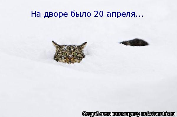 На дворе было 20 апреля...... Котоматрица: На дворе было 20 апреля...