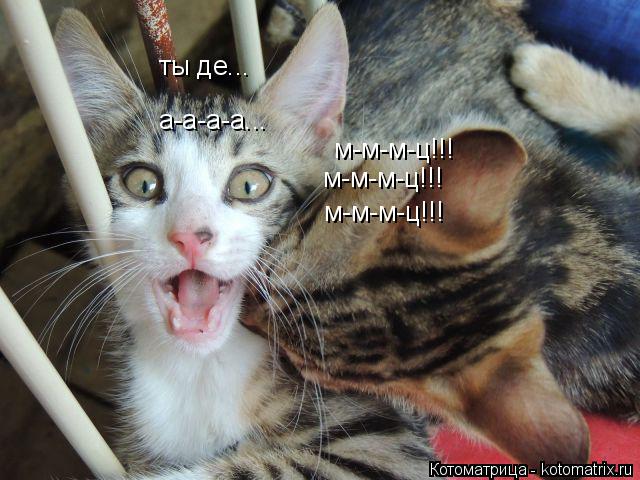 м-м-м-ц!!! м-м-м-ц!!! м-м-м-ц!!! а-а-а-а... ты де...... Котоматрица: м-м-м-ц!!! м-м-м-ц!!! м-м-м-ц!!! а-а-а-а... ты де...