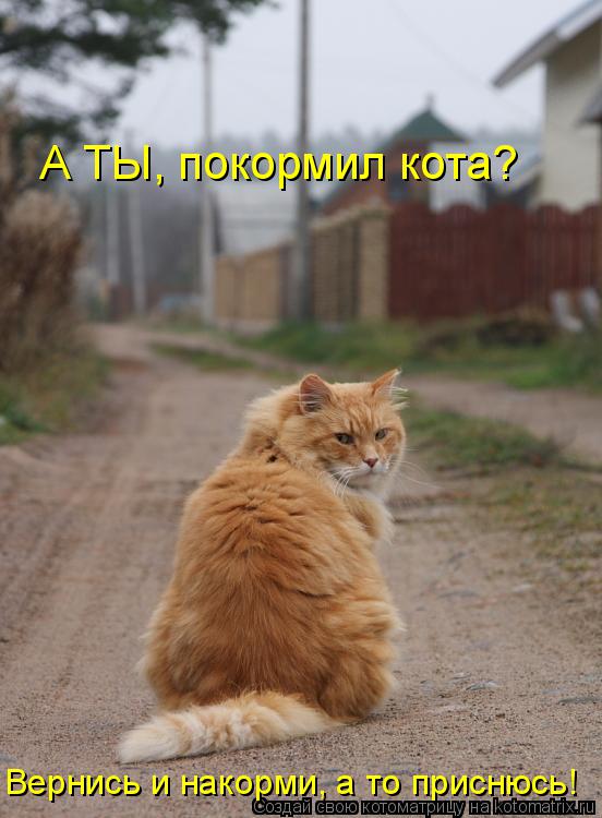 Котоматрица: А ТЫ, покормил кота? Вернись и накорми, а то приснюсь!