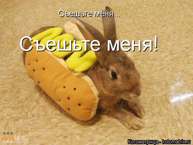 Съешьте меня... Съешьте меня!... Котоматрица: Съешьте меня... Съешьте меня!