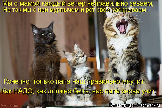Мы с мамой каждый вечер неправильно зеваем, Не так мы с ней мурлычем и рот свой раскрываем. Конечно, ... Котоматрица: Мы с мамой каждый вечер неправильно зеваем, Не так мы с ней мурлычем и рот свой раскрываем. Конечно, только папа наш правильно мяучит. Как НА