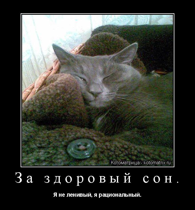 За здоровый сон. Я не ленивый, я рациональный.... Котоматрица: За здоровый сон. Я не ленивый, я рациональный.