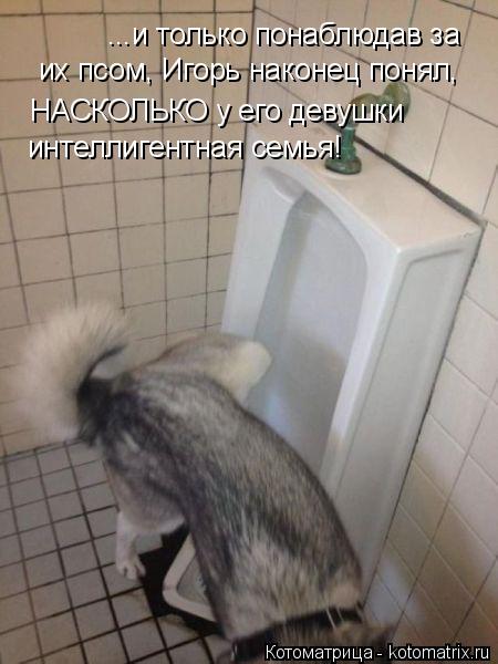...и только понаблюдав за их псом, Игорь наконец понял, НАСКОЛЬКО у его девушки интеллигентная семь... Котоматрица: ...и только понаблюдав за их псом, Игорь наконец понял, НАСКОЛЬКО у его девушки интеллигентная семья!