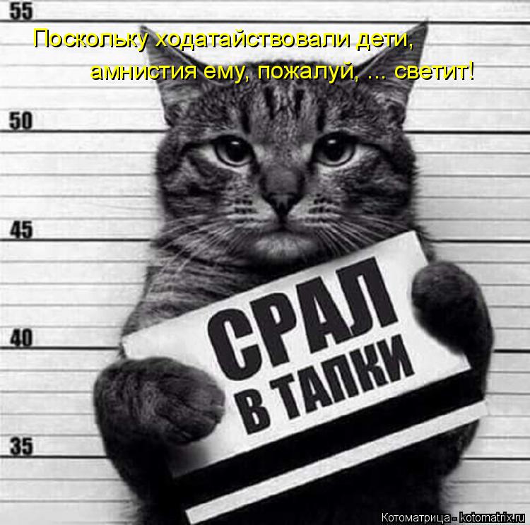 Поскольку ходатайствовали дети, амнистия ему, пожалуй, ... светит!... Котоматрица: Поскольку ходатайствовали дети, амнистия ему, пожалуй, ... светит!