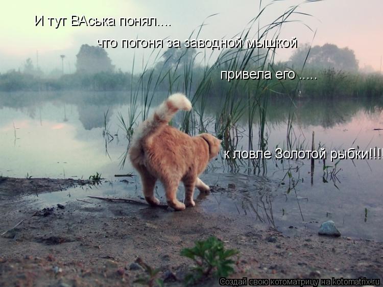 И тут ВАська понял.... что погоня за заводной мышкой привела его ..... к ловле Золотой рыбки!!!!... Котоматрица: И тут ВАська понял.... что погоня за заводной мышкой привела его ..... к ловле Золотой рыбки!!!!