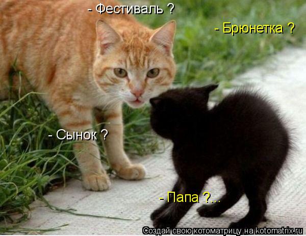 - Фестиваль ? - Брюнетка ? - Сынок ? - Папа ?...... Котоматрица: - Фестиваль ? - Брюнетка ? - Сынок ? - Папа ?...