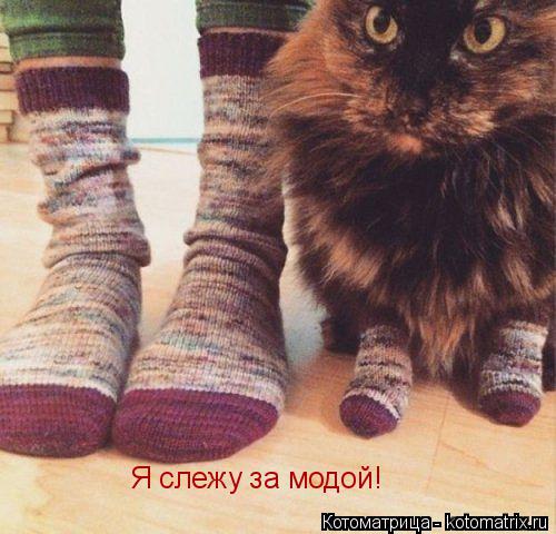 Я слежу за модой!... Котоматрица: Я слежу за модой!
