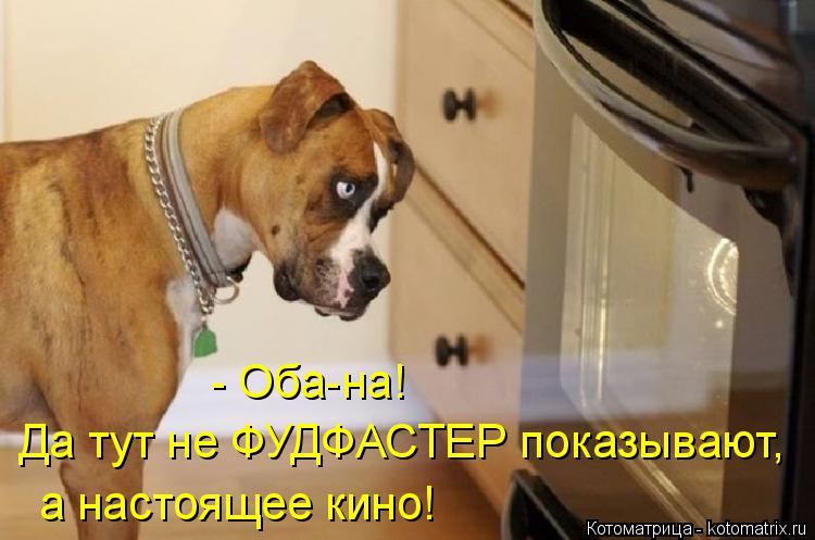 - Оба-на! Да тут не ФУДФАСТЕР показывают, а настоящее кино!... Котоматрица: - Оба-на! Да тут не ФУДФАСТЕР показывают, а настоящее кино!