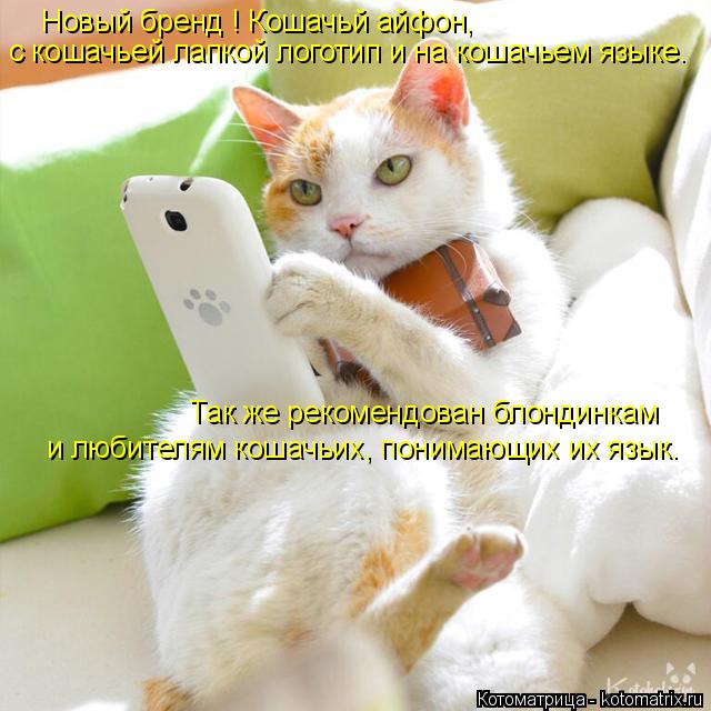 Новый бренд ! Кошачьй айфон, с кошачьей лапкой логотип и на кошачьем языке. Так же рекомендован блонд... Котоматрица: Новый бренд ! Кошачьй айфон, с кошачьей лапкой логотип и на кошачьем языке. Так же рекомендован блондинкам и любителям кошачьих, понимающих