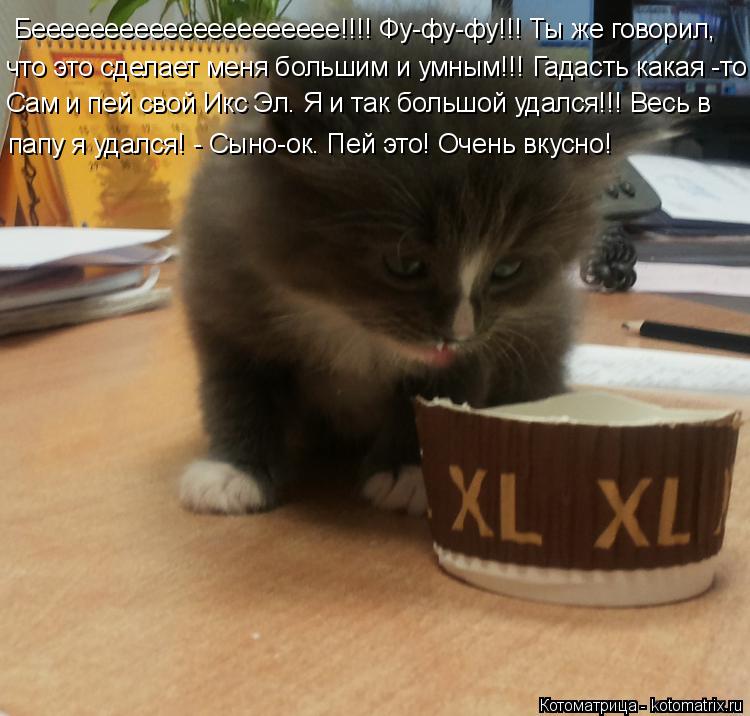 Беееееееееееееееееееее!!!! Фу-фу-фу!!! Ты же говорил, что это сделает меня большим и умным!!! Гадасть... Котоматрица: Беееееееееееееееееееее!!!! Фу-фу-фу!!! Ты же говорил, что это сделает меня большим и умным!!! Гадасть какая -то! Сам и пей свой Икс Эл. Я и так бол