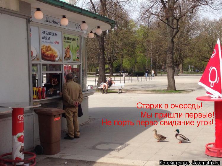Старик в очередь! Мы пришли первые! Не порть перво свидание уток!... Котоматрица: Старик в очередь! Мы пришли первые! Не порть перво свидание уток!
