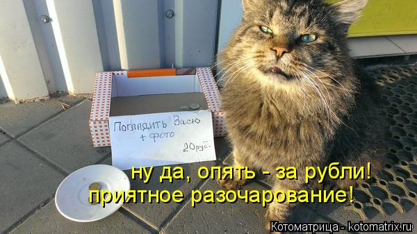 приятное разочарование! ну да, опять - за рубли!... Котоматрица: приятное разочарование! ну да, опять - за рубли!