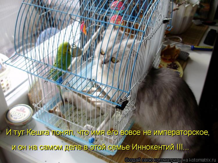 и он на самом деле в этой семье Иннокентий III... И тут Кешка понял, что имя его вовсе не императорск... Котоматрица: и он на самом деле в этой семье Иннокентий III... И тут Кешка понял, что имя его вовсе не императорское,