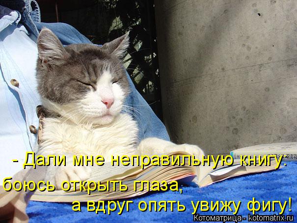 - Дали мне неправильную книгу: боюсь открыть глаза, а вдруг опять увижу фигу!... Котоматрица: - Дали мне неправильную книгу: боюсь открыть глаза, а вдруг опять увижу фигу!