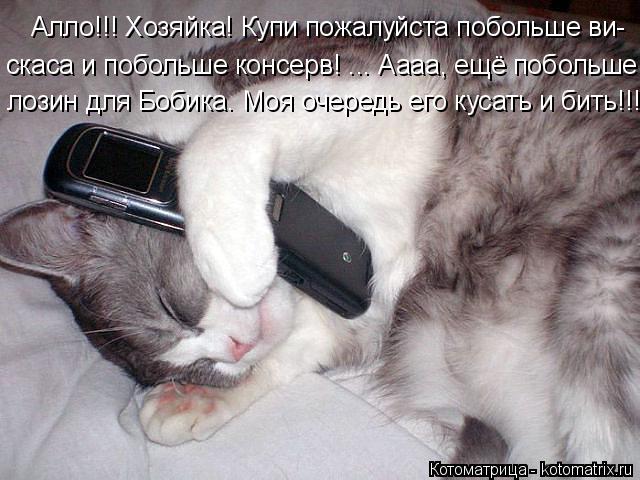 Алло!!! Хозяйка! Купи пожалуйста побольше ви- скаса и побольше консерв! ... Аааа, ещё побольше лозин ... Котоматрица: Алло!!! Хозяйка! Купи пожалуйста побольше ви- скаса и побольше консерв! ... Аааа, ещё побольше лозин для Бобика. Моя очередь его кусать и бить!!!