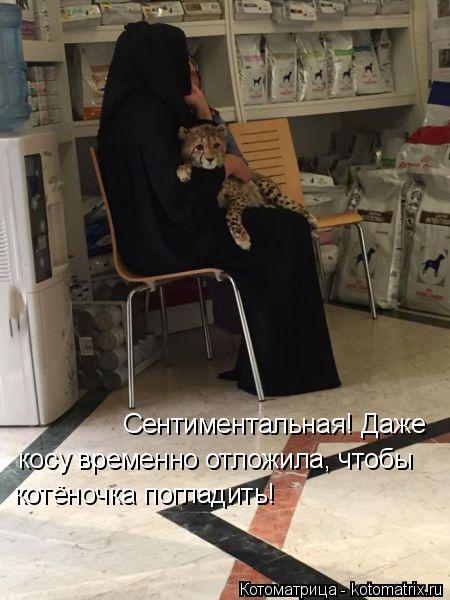 Сентиментальная! Даже косу временно отложила, чтобы котёночка погладить!... Котоматрица: Сентиментальная! Даже косу временно отложила, чтобы котёночка погладить!