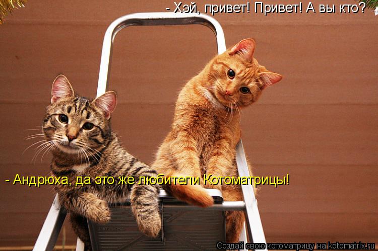 - Хэй, привет! Привет! А вы кто? - Андрюха, да это же любители Котоматрицы!... Котоматрица: - Хэй, привет! Привет! А вы кто? - Андрюха, да это же любители Котоматрицы!