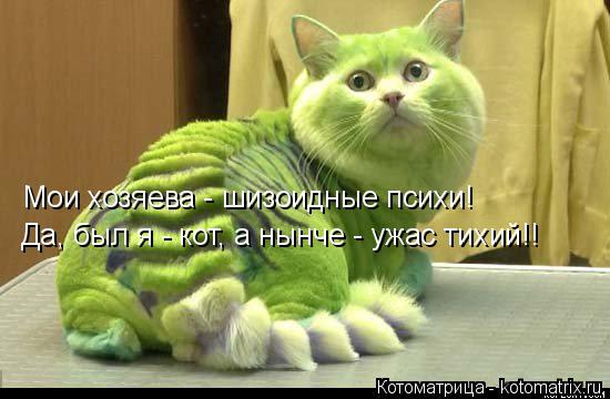 Котоматрица: Мои хозяева - шизоидные психи! Да, был я - кот, а нынче - ужас тихий!!