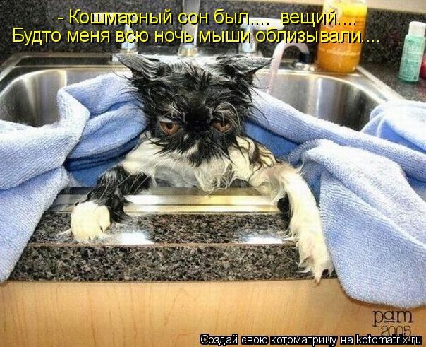 - Кошмарный сон был.... вещий.... Будто меня всю ночь мыши облизывали....... Котоматрица: - Кошмарный сон был.... вещий.... Будто меня всю ночь мыши облизывали....