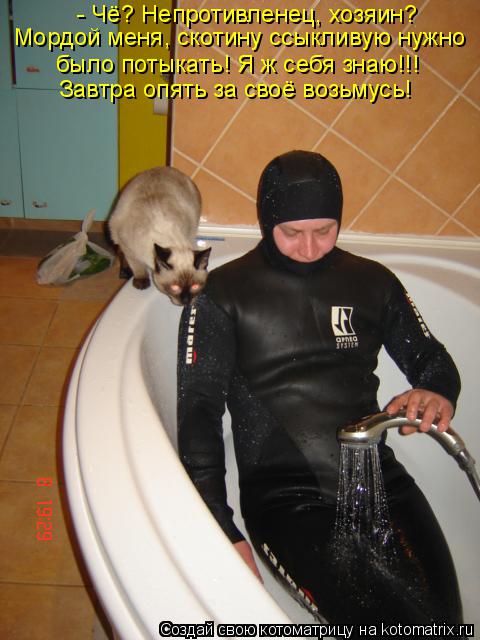 Котоматрица: - Чё? Непротивленец, хозяин? Мордой меня, скотину ссыкливую нужно было потыкать! Я ж себя знаю!!! Завтра опять за своё возьмусь!