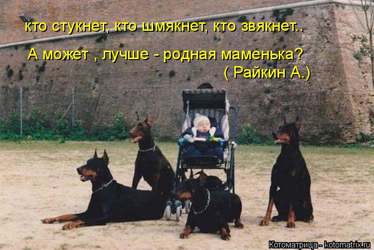 А может , лучше - родная маменька? кто стукнет, кто шмякнет, кто звякнет.. ( Райкин А.)... Котоматрица: А может , лучше - родная маменька? кто стукнет, кто шмякнет, кто звякнет.. ( Райкин А.)
