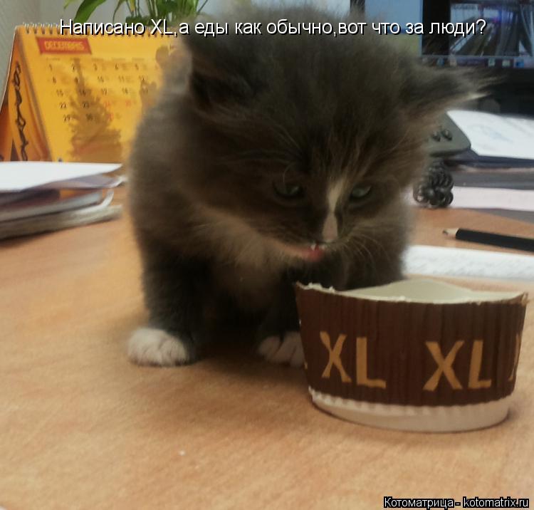 Котоматрица: Написано XL,а еды как обычно,вот что за люди?