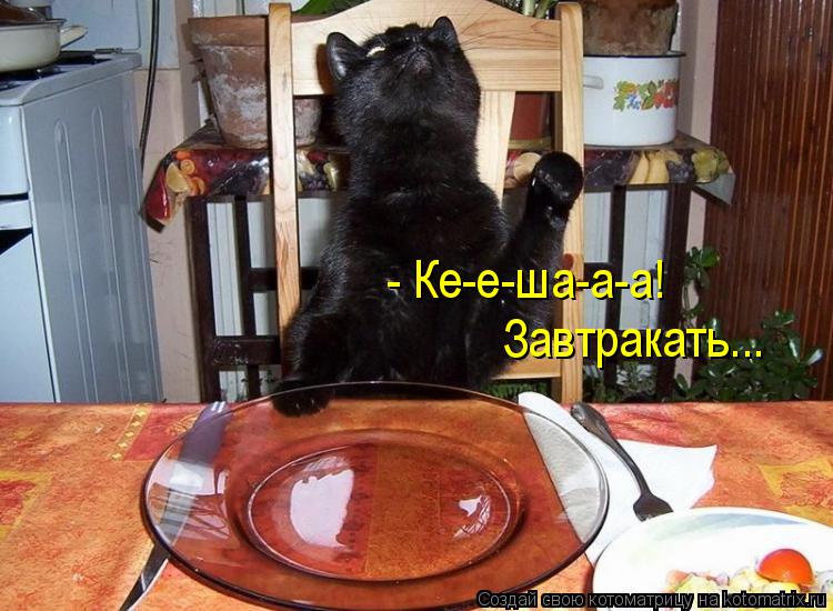 Котоматрица: - Ке-е-ша-а-а! Завтракать...
