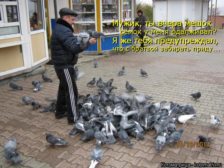 Мужик, ты вчера мешок сёмок у меня одалживал? Я же тебя предупреждал, что с братвой забирать приду...... Котоматрица: Мужик, ты вчера мешок сёмок у меня одалживал? Я же тебя предупреждал, что с братвой забирать приду...