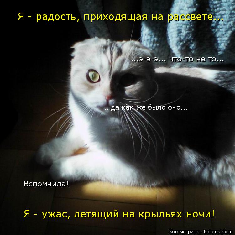 Я - радость, приходящая на рассвете... ...э-э-э... что-то не то... ...да как же было оно... Вспомнила... Котоматрица: Я - радость, приходящая на рассвете... ...э-э-э... что-то не то... ...да как же было оно... Вспомнила! Я - ужас, летящий на крыльях ночи!