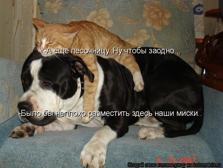 Котоматрица: -Было бы неплохо разместить здесь наши миски.. -А ещё песочницу..Ну чтобы заодно...