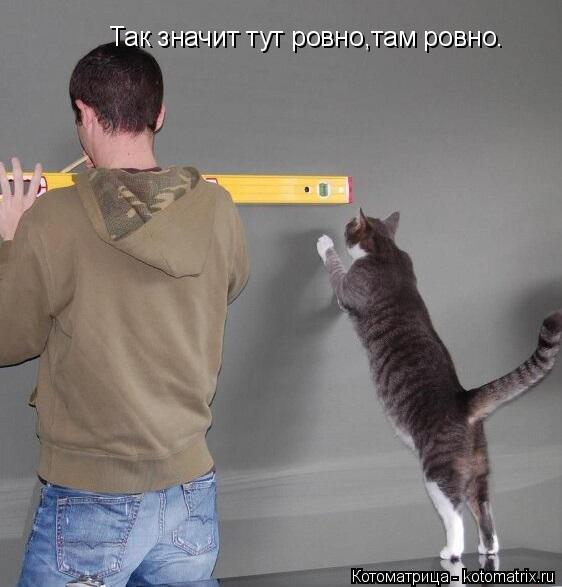 Котоматрица: Так значит тут ровно,там ровно.