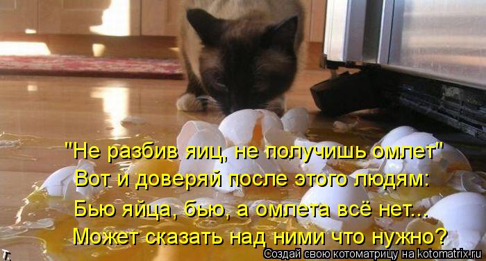 Котоматрица: "Не разбив яиц, не получишь омлет" Вот и доверяй после этого людям: Бью яйца, бью, а омлета всё нет... Может сказать над ними что нужно?