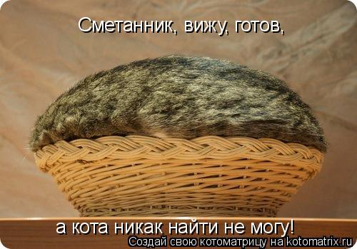 Котоматрица: а кота никак найти не могу! Сметанник, вижу, готов,
