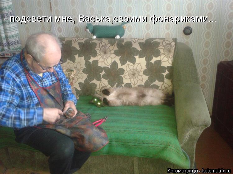 Котоматрица: - подсвети мне, Васька,своими фонариками...