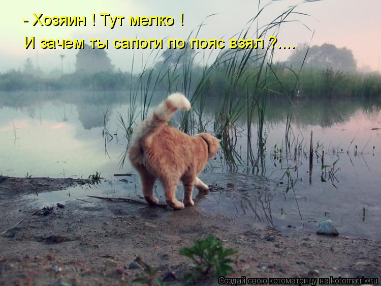 - Хозяин ! Тут мелко ! И зачем ты сапоги по пояс взял ?....... Котоматрица: - Хозяин ! Тут мелко ! И зачем ты сапоги по пояс взял ?....