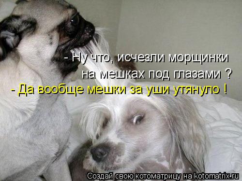 - Ну что, исчезли морщинки на мешках под глазами ? - Да вообще мешки за уши утянуло !... Котоматрица: - Ну что, исчезли морщинки на мешках под глазами ? - Да вообще мешки за уши утянуло !
