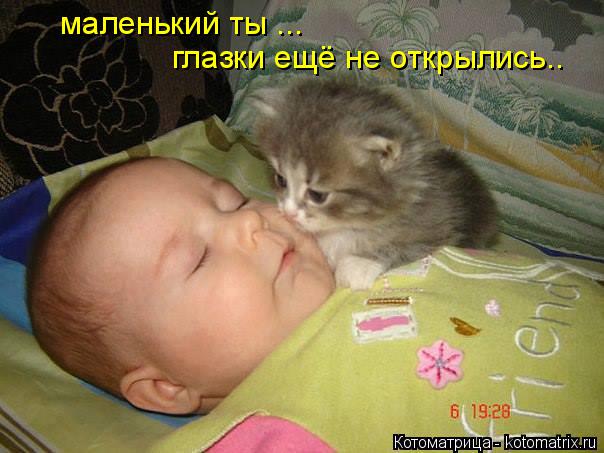 Котоматрица: глазки ещё не открылись.. маленький ты ...