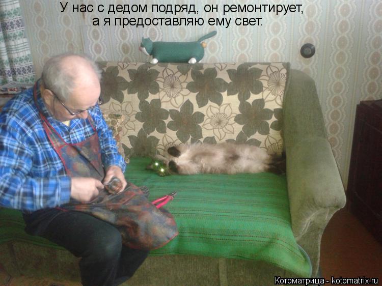 Котоматрица: У нас с дедом подряд, он ремонтирует,  а я предоставляю ему свет.