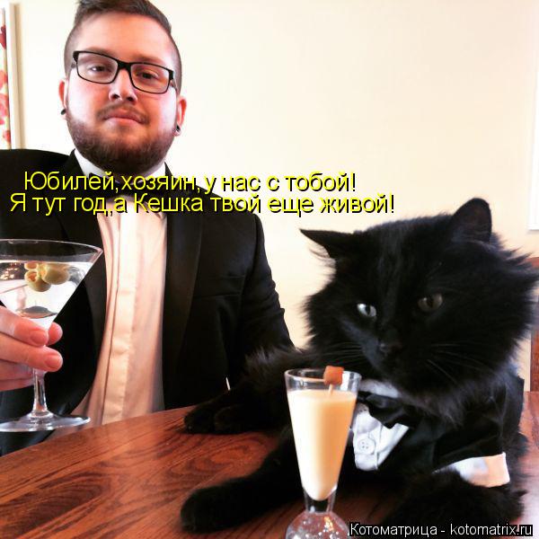 Юбилей,хозяин,у нас с тобой! Я тут год,а Кешка твой еще живой!... Котоматрица: Юбилей,хозяин,у нас с тобой! Я тут год,а Кешка твой еще живой!