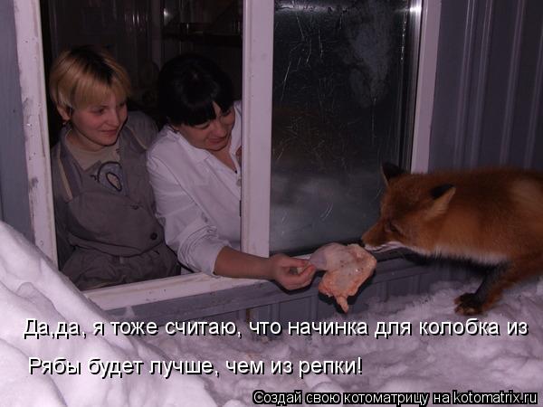Да,да, я тоже считаю, что начинка для колобка из Рябы будет лучше, чем из репки!... Котоматрица: Да,да, я тоже считаю, что начинка для колобка из Рябы будет лучше, чем из репки!