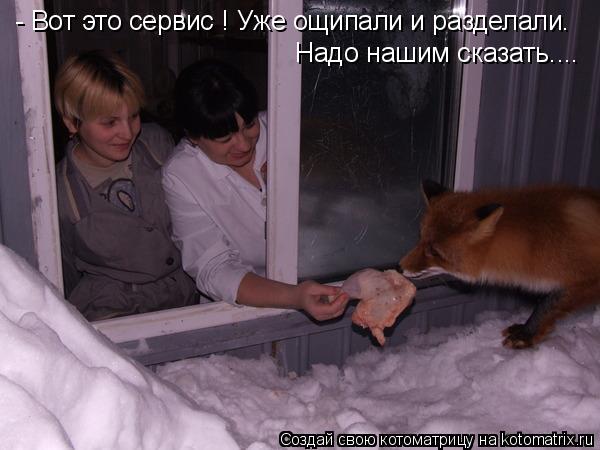 Котоматрица: - Вот это сервис ! Уже ощипали и разделали. Надо нашим сказать....