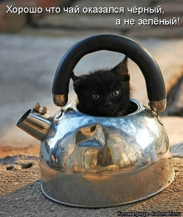 Котоматрица: Хорошо что чай оказался чёрный,   а не зелёный!