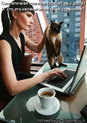 Котоматрица: Симпатичная кошечка скрасит ваш досуг! И  кто это напечатал на моей страничке?