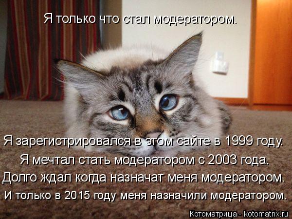 Котоматрица: Я только что стал модератором. Я зарегистрировался в этом сайте в 1999 году. Я мечтал стать модератором с 2003 года. Долго ждал когда назначат ме