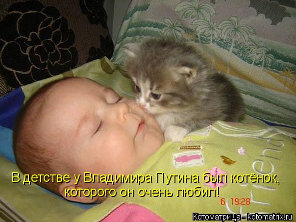 Котоматрица: В детстве у Владимира Путина был котёнок,  которого он очень любил!